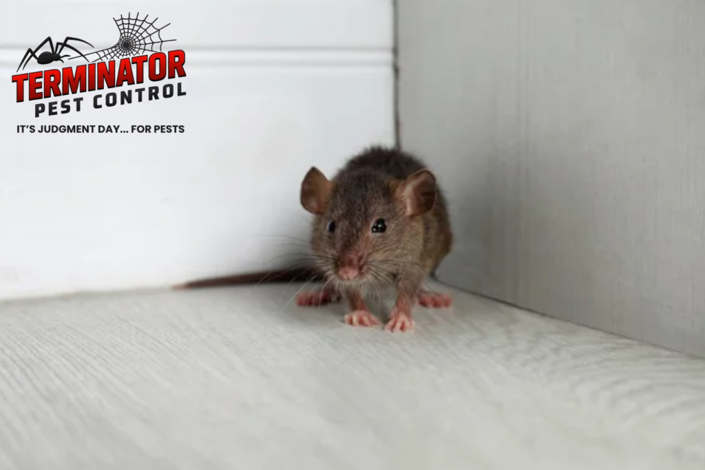 mice