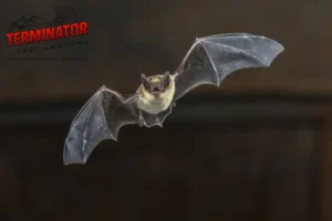flying bat