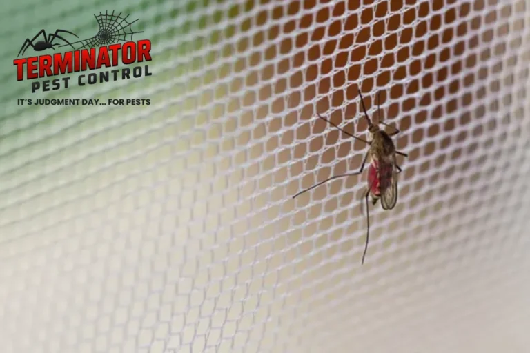 What Is Included in a Professional Pest Control Service 2 mosquito