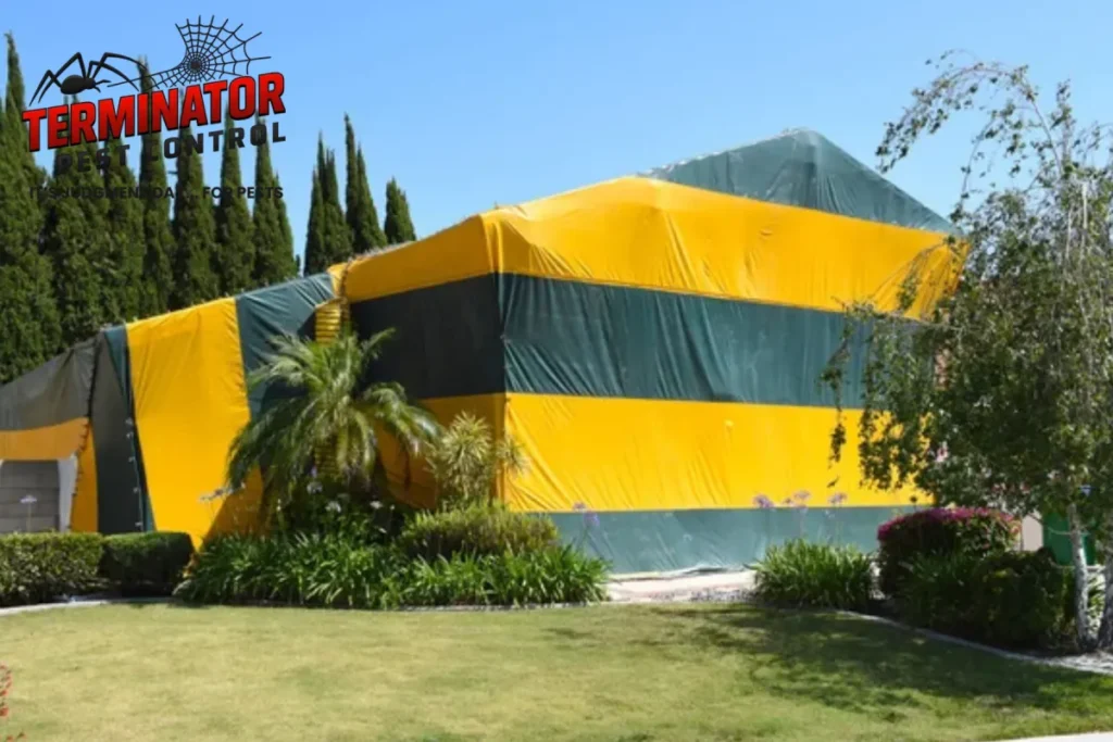 fumigation