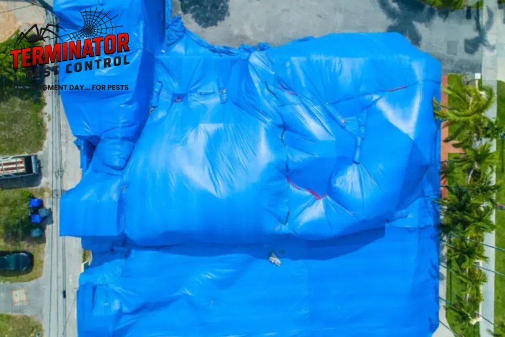 How Long Does the Fumigation Process Take From Preparation to Safe Reentry 1 fumigation