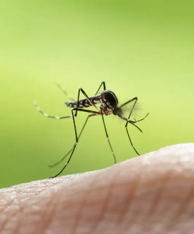 Beaver Dam, WI Mosquito management