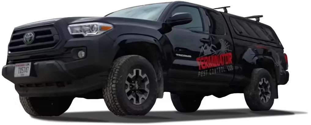 Pest Control In Middleton WI